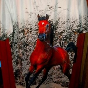 Stallion silky tee